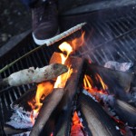 IMG_6377